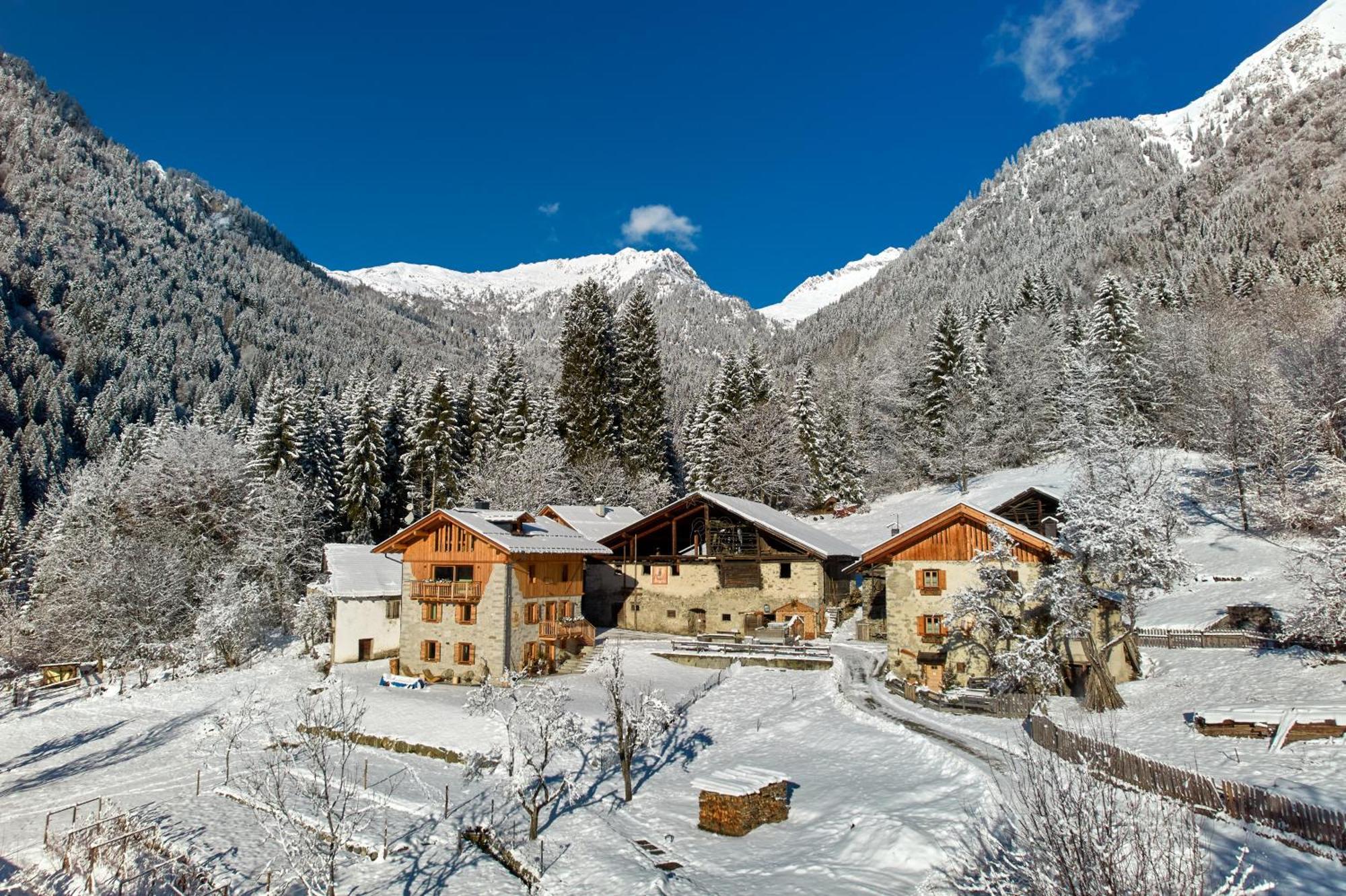Pimont Alpine Chalet Madonna di Campiglio Exterior photo